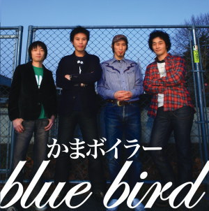 bluejyake1.jpg